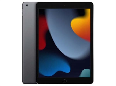 Apple iPad (2021) WiFi 256GB - Space Grey