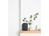 Google Nest Audio - Kulsort